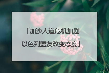 加沙人道危机加剧 以色列盟友改变态度