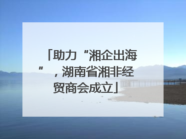 助力“湘企出海”，湖南省湘非经贸商会成立