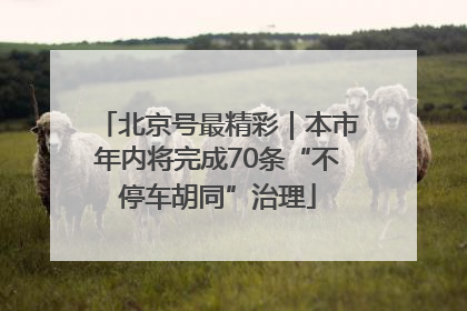 北京号最精彩｜本市年内将完成70条“不停车胡同”治理