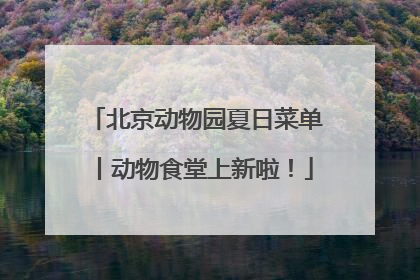 北京动物园夏日菜单丨动物食堂上新啦！