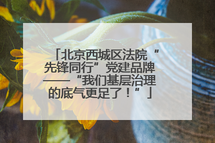 北京西城区法院“先锋同行”党建品牌——“我们基层治理的底气更足了！”