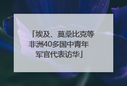 埃及、莫桑比克等非洲40多国中青年军官代表访华