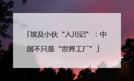 埃及小伙“入川记”：中国不只是“世界工厂”