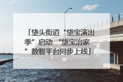 垡头街道“垡宝演出季”启动 “垡宝治家”数智平台同步上线