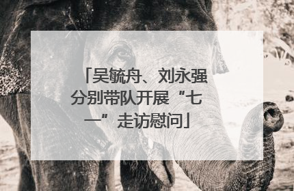 吴毓舟、刘永强分别带队开展“七一”走访慰问