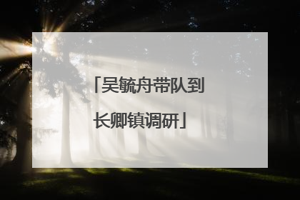 吴毓舟带队到长卿镇调研