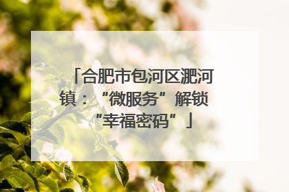 合肥市包河区淝河镇：“微服务”解锁“幸福密码”