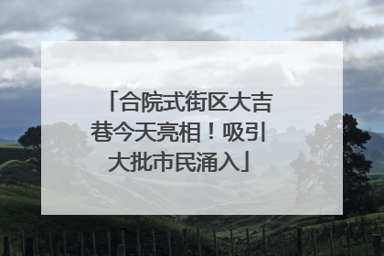 合院式街区大吉巷今天亮相！吸引大批市民涌入