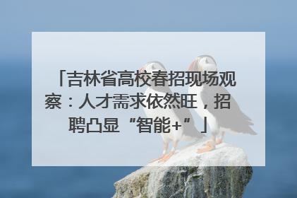 吉林省高校春招现场观察：人才需求依然旺，招聘凸显“智能+”