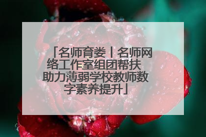名师育娄丨名师网络工作室组团帮扶 助力薄弱学校教师数字素养提升