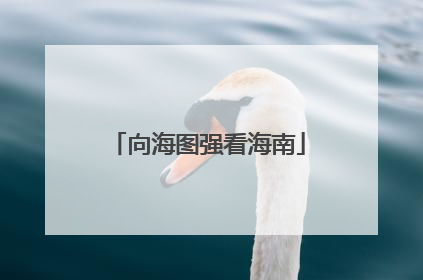 向海图强看海南