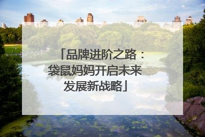 品牌进阶之路：袋鼠妈妈开启未来发展新战略