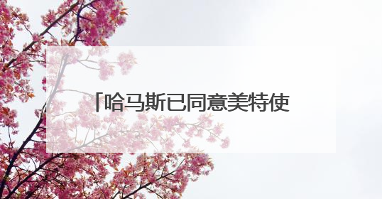 哈马斯已同意美特使提出的加沙停火方案