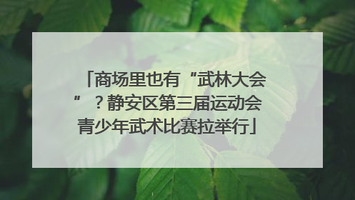 商场里也有“武林大会”？静安区第三届运动会青少年武术比赛拉举行