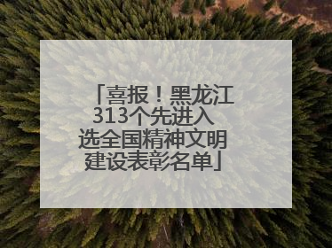 喜报！黑龙江313个先进入选全国精神文明建设表彰名单