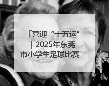 喜迎“十五运”｜2025年东莞市小学生足球比赛圆满收官