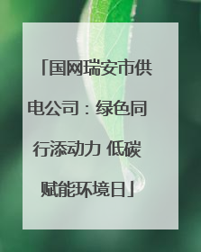 国网瑞安市供电公司：绿色同行添动力 低碳赋能环境日