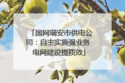 国网瑞安市供电公司：自主实施强业务 电网建设提质效
