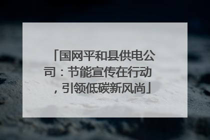 国网平和县供电公司：节能宣传在行动，引领低碳新风尚