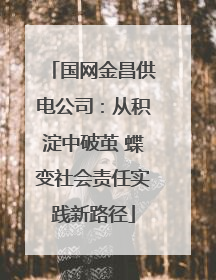 国网金昌供电公司：从积淀中破茧 蝶变社会责任实践新路径
