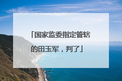 国家监委指定管辖的田玉军，判了