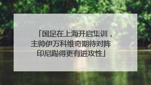 国足在上海开启集训，主帅伊万科维奇期待对阵印尼踢得更有进攻性