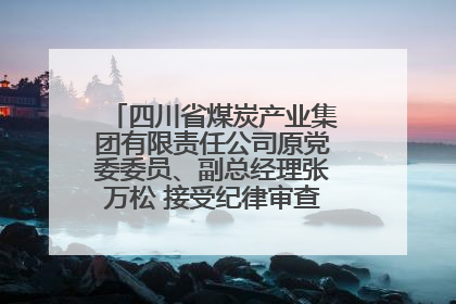 四川省煤炭产业集团有限责任公司原党委委员、副总经理张万松 接受纪律审查和监察调查