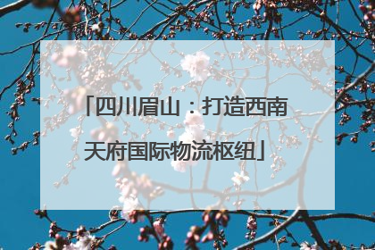 四川眉山：打造西南天府国际物流枢纽