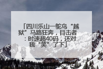 四川乐山一鸵鸟“越狱”马路狂奔，目击者：时速超40码，还对我“笑”了下