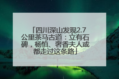 四川深山发现2.7公里茶马古道：立有石碑，杨慎、奢香夫人或都走过这条路
