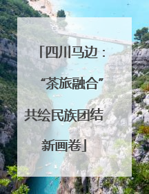四川马边：“茶旅融合”共绘民族团结新画卷