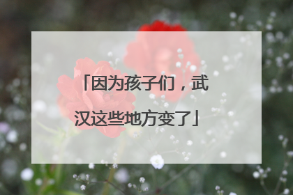 因为孩子们，武汉这些地方变了