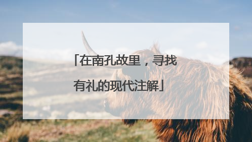 在南孔故里，寻找有礼的现代注解