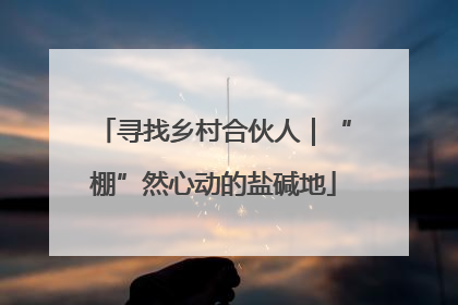 寻找乡村合伙人｜“棚”然心动的盐碱地