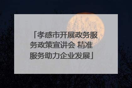 孝感市开展政务服务政策宣讲会 精准服务助力企业发展