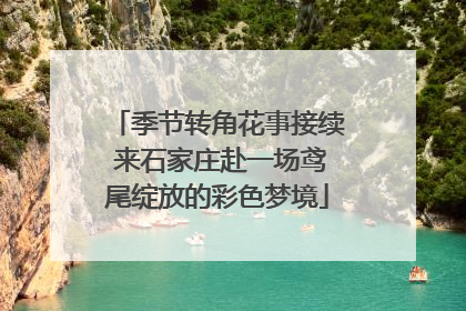 季节转角花事接续 来石家庄赴一场鸢尾绽放的彩色梦境