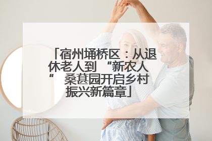 宿州埇桥区：从退休老人到 “新农人” 桑葚园开启乡村振兴新篇章