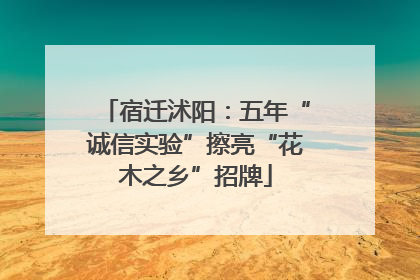 宿迁沭阳：五年“诚信实验”擦亮“花木之乡”招牌