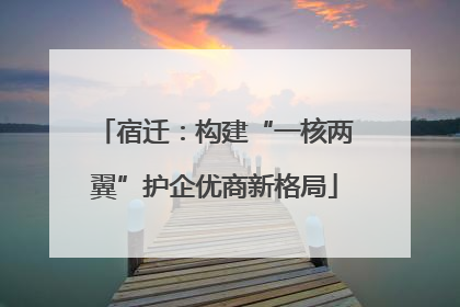 宿迁：构建“一核两翼”护企优商新格局
