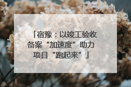 宿豫：以竣工验收备案“加速度”助力项目“跑起来”