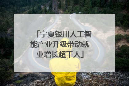 宁夏银川人工智能产业升级带动就业增长超千人
