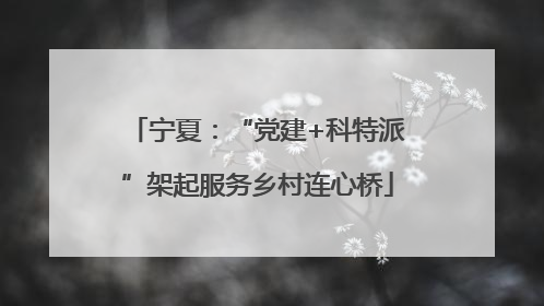 宁夏：“党建+科特派”架起服务乡村连心桥