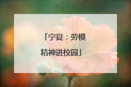 宁夏：劳模精神进校园