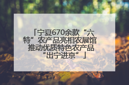 宁夏670余款“六特”农产品亮相农展馆 推动优质特色农产品“出宁进京”