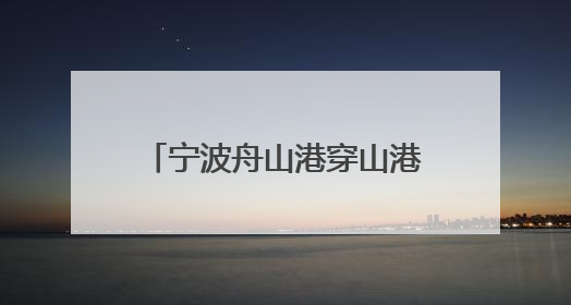宁波舟山港穿山港区让AI算力既懂业务又能决策 20年的数据“喂”出更聪明的港口