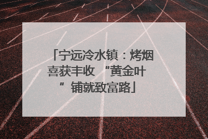 宁远冷水镇：烤烟喜获丰收 “黄金叶”铺就致富路