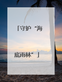 守护“海底雨林”