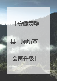 安徽灵璧县：厕所革命再升级
