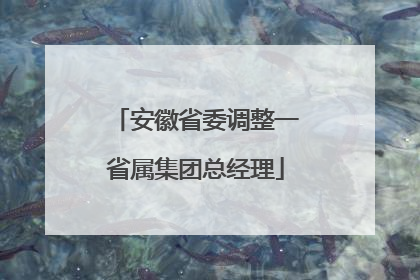 安徽省委调整一省属集团总经理