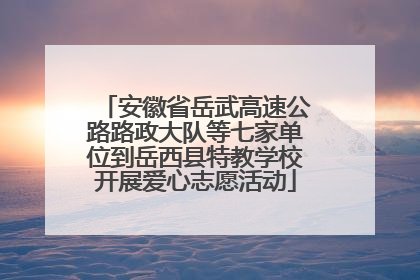 安徽省岳武高速公路路政大队等七家单位到岳西县特教学校开展爱心志愿活动